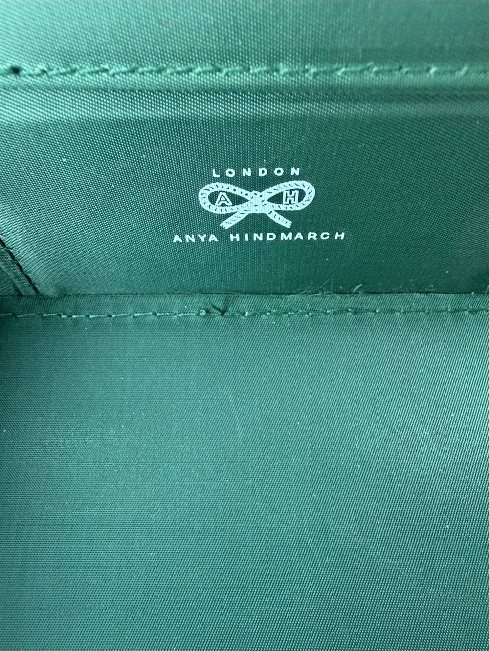 ANYA HINDMARCH Green Grass Makeup Case - Picture 11 of 13